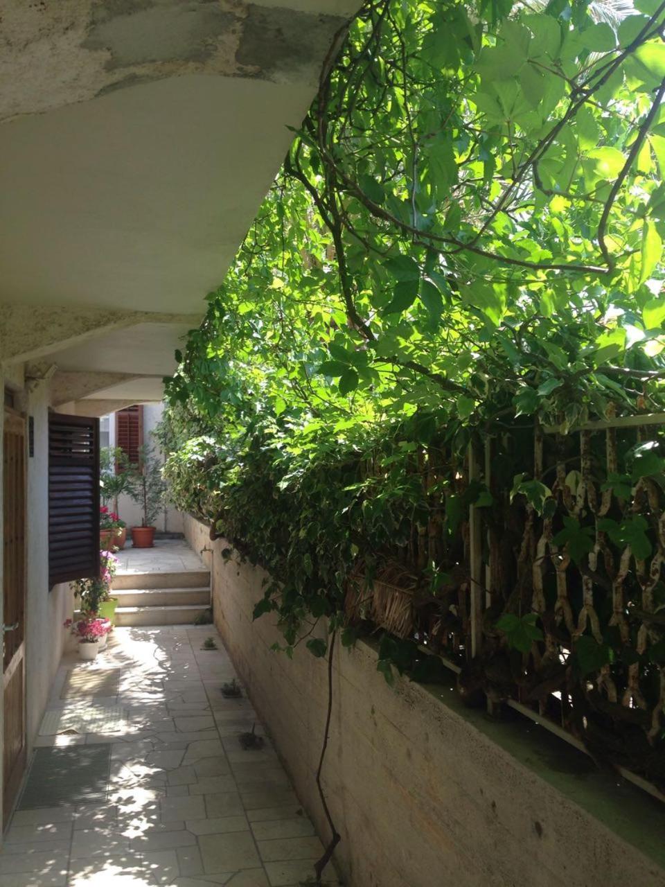 Happy Dubrovnik Centre-Free Parking Exterior foto